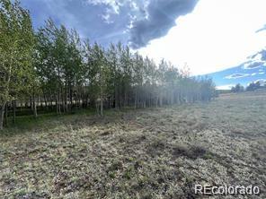 1599 Campfire Road Hartsel, CO 80449 - Photo 29 of 39 Gallery Image 29