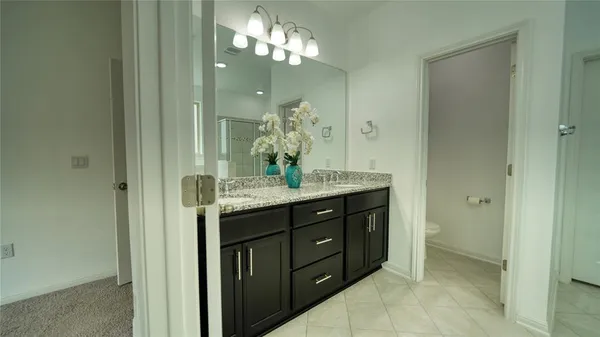 a bathroom with a granite countertop sink a potted plant and a mirror