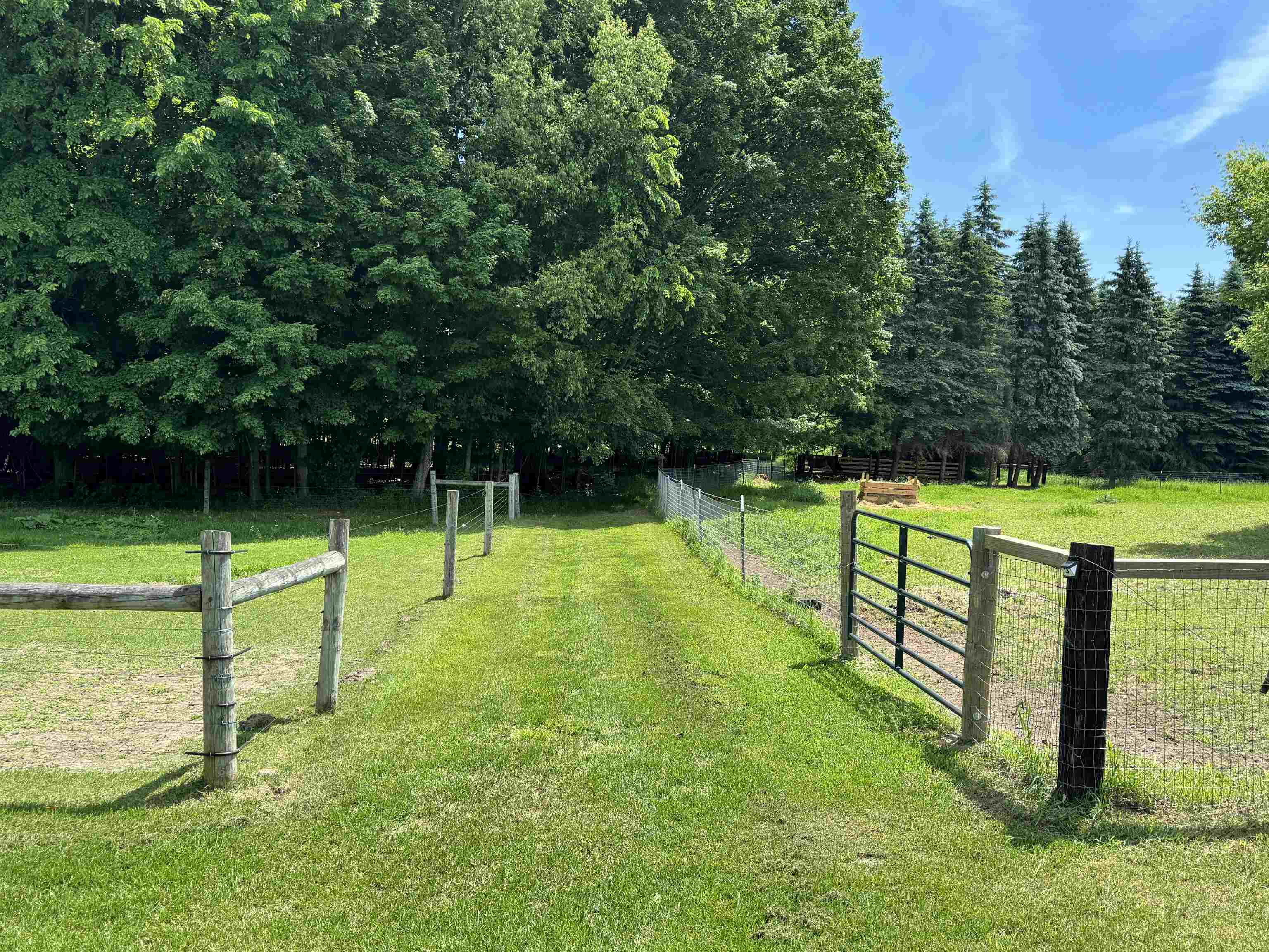4345 South Brinton Road Blanchard, MI 49310 - Photo 10 of 45
