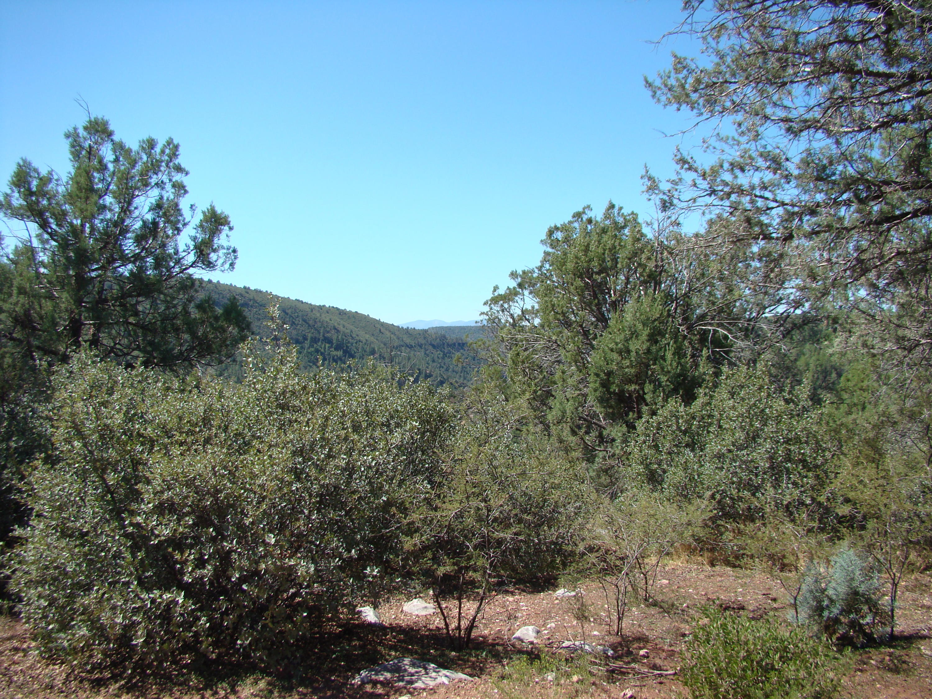 17033 Fire Control Road Payson, AZ 85541 - Photo 21 of 28