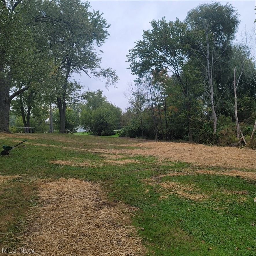 11055 Springfield Road North Lima, OH 44452 - Photo 24 of 29