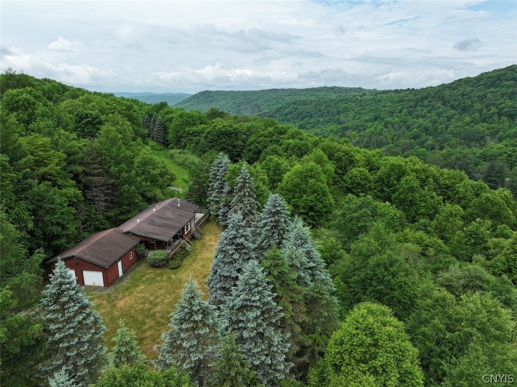 3773 Haskell Vly Vw Road Clarksville, NY 14727 - Photo 1 of 50