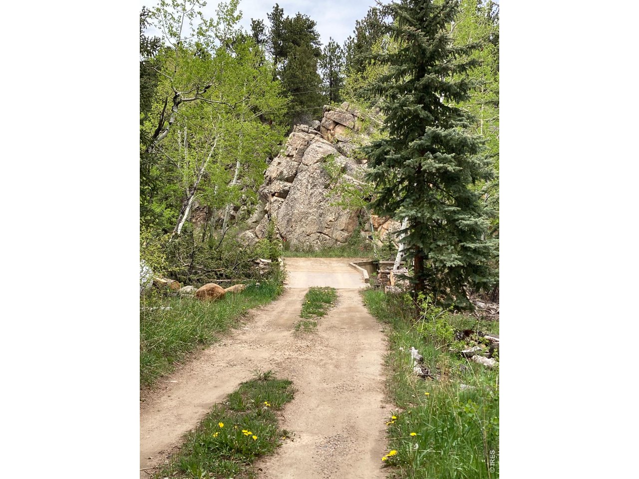 1064 Cold Springs Road Nederland, CO 80466 - Photo 40 of 48