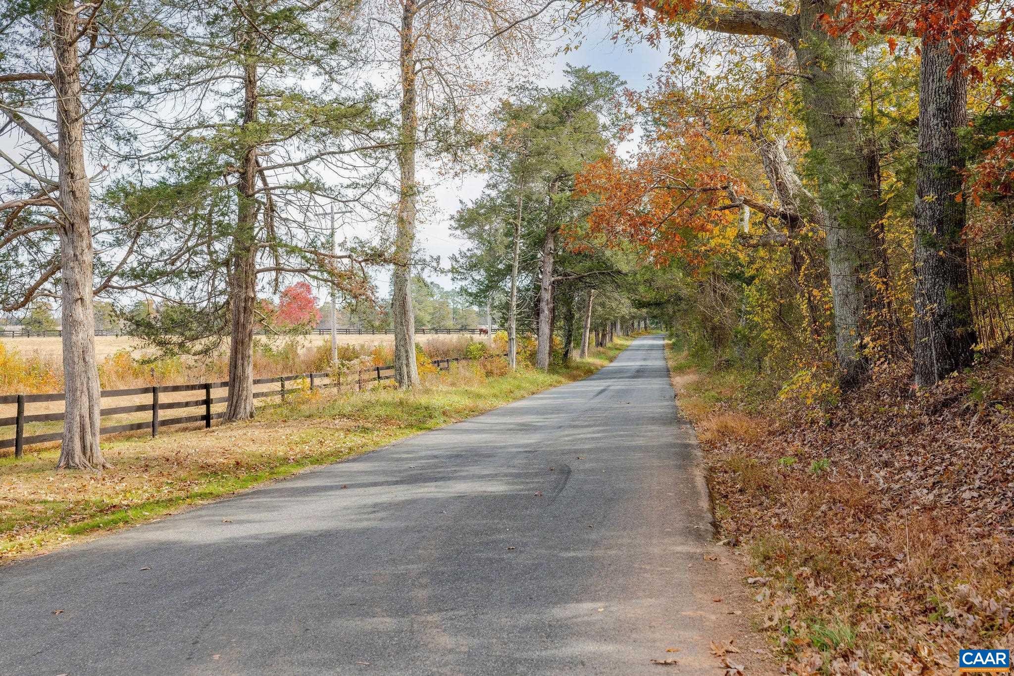 a view of road with trees