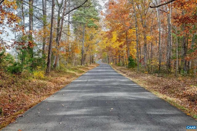 a view of flowing water with large trees