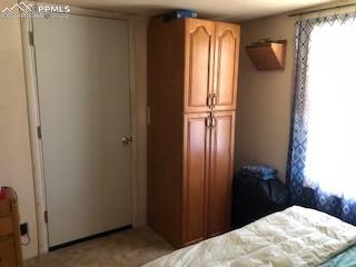 38120 Trogilo Road Rush, CO 80833 - Photo 14 of 16 a bedroom with a bed and a window