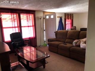38120 Trogilo Road Rush, CO 80833 - Photo 16 of 16 a living room with furniture and a window