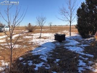 38120 Trogilo Road Rush, CO 80833 - Photo 2 of 16 a view of a backyard of the house