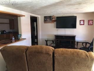 38120 Trogilo Road Rush, CO 80833 - Photo 10 of 16 a living room with a flat screen tv a lamp and a fireplace