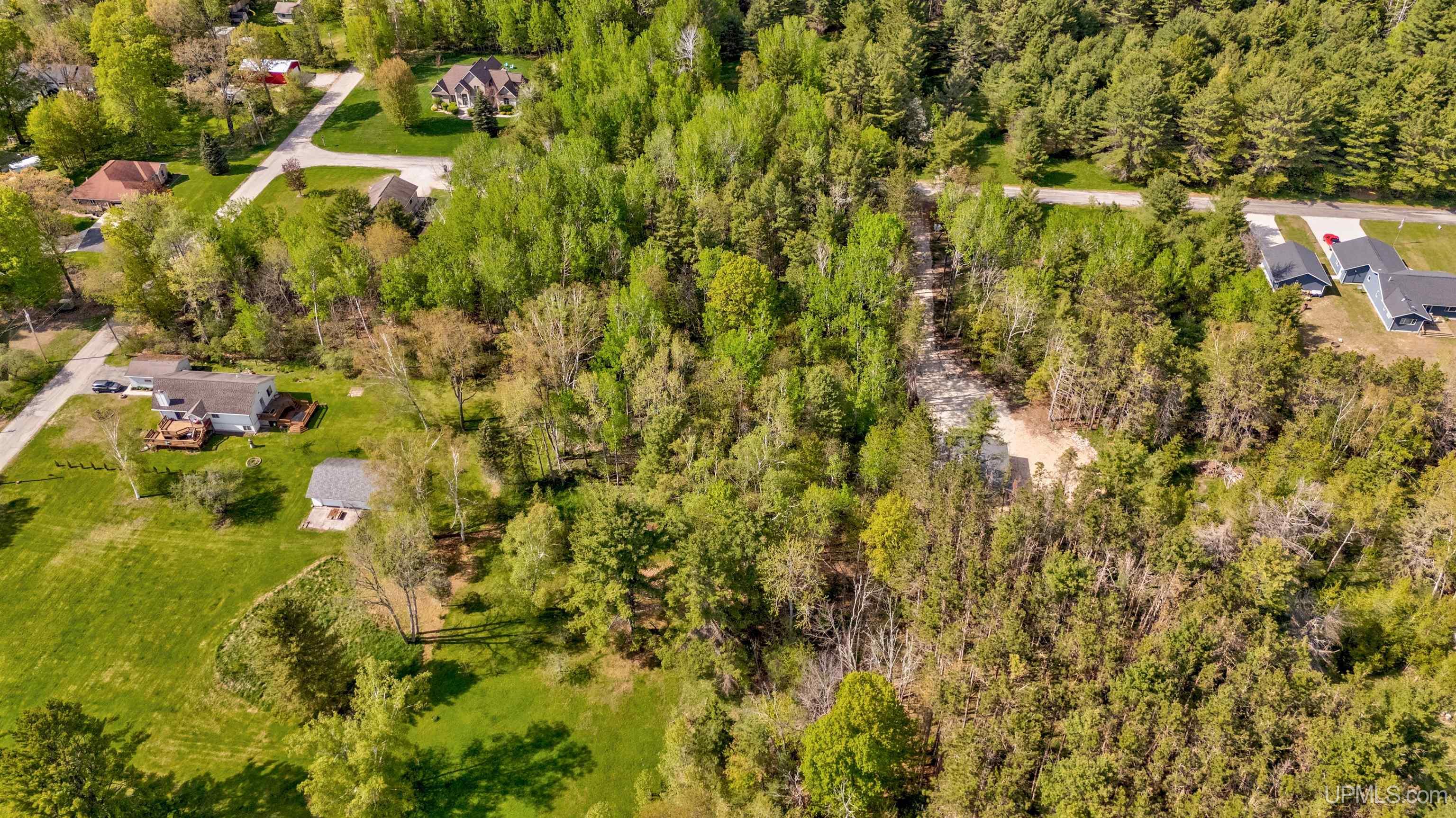 Tbd Pine Ridge Road Manistique, MI 49854 - Photo 4 of 20