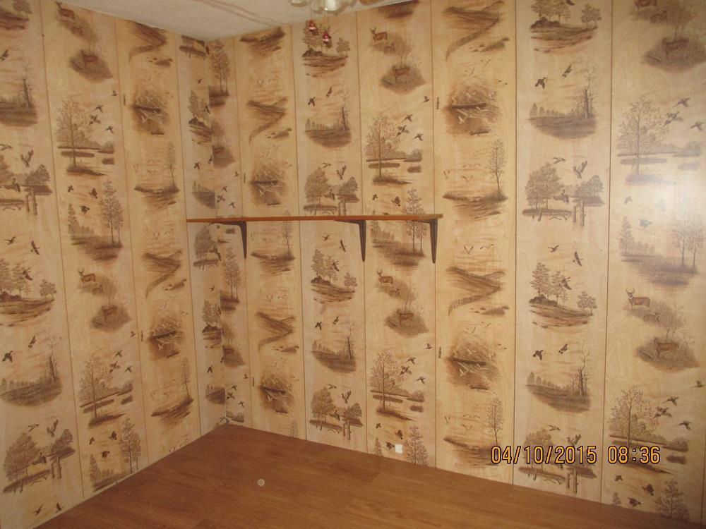 913 Transalpine Road Lincoln, ME 04457 - Photo 14 of 17 Photo