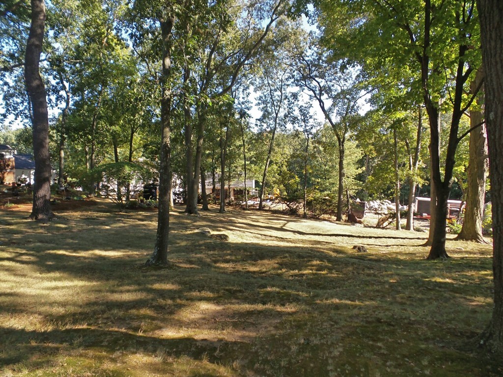33 James Road Reading, MA 01867 - Photo 27 of 27 a view of road with trees