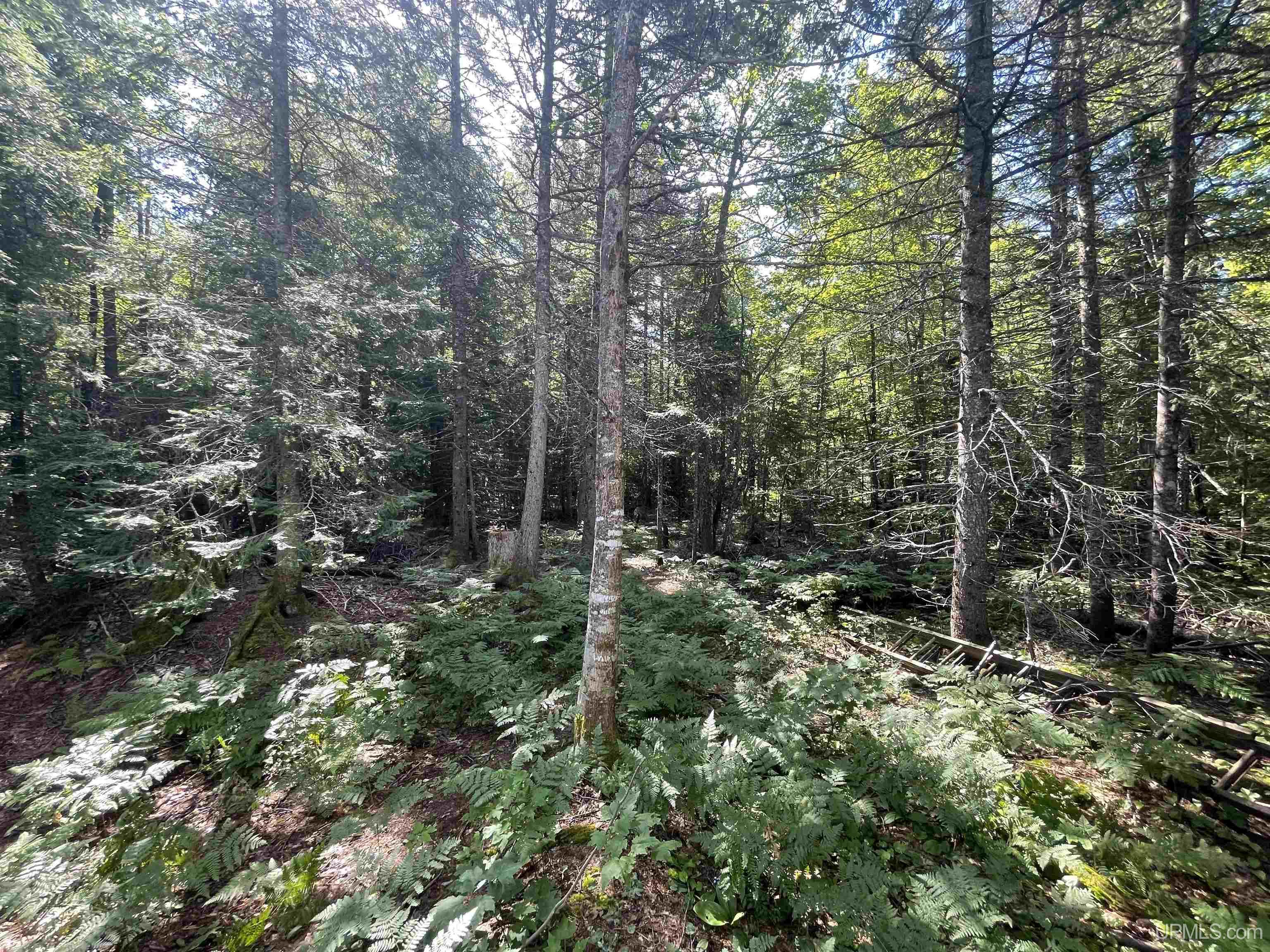 510 Rd Ishpeming Mi 49849 Road Negaunee, MI 49866 - Photo 23 of 54