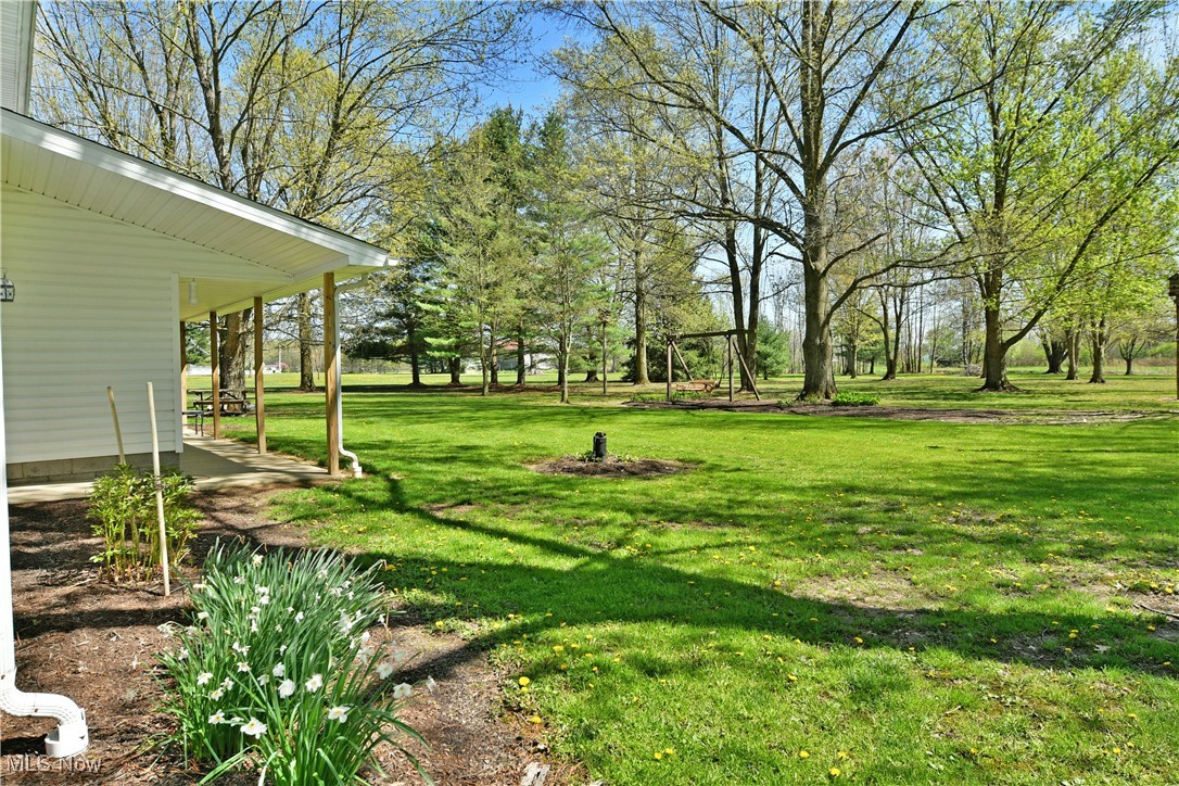 379 Housel Craft Road Bristolville, OH 44402 - Photo 48 of 50 View of yard