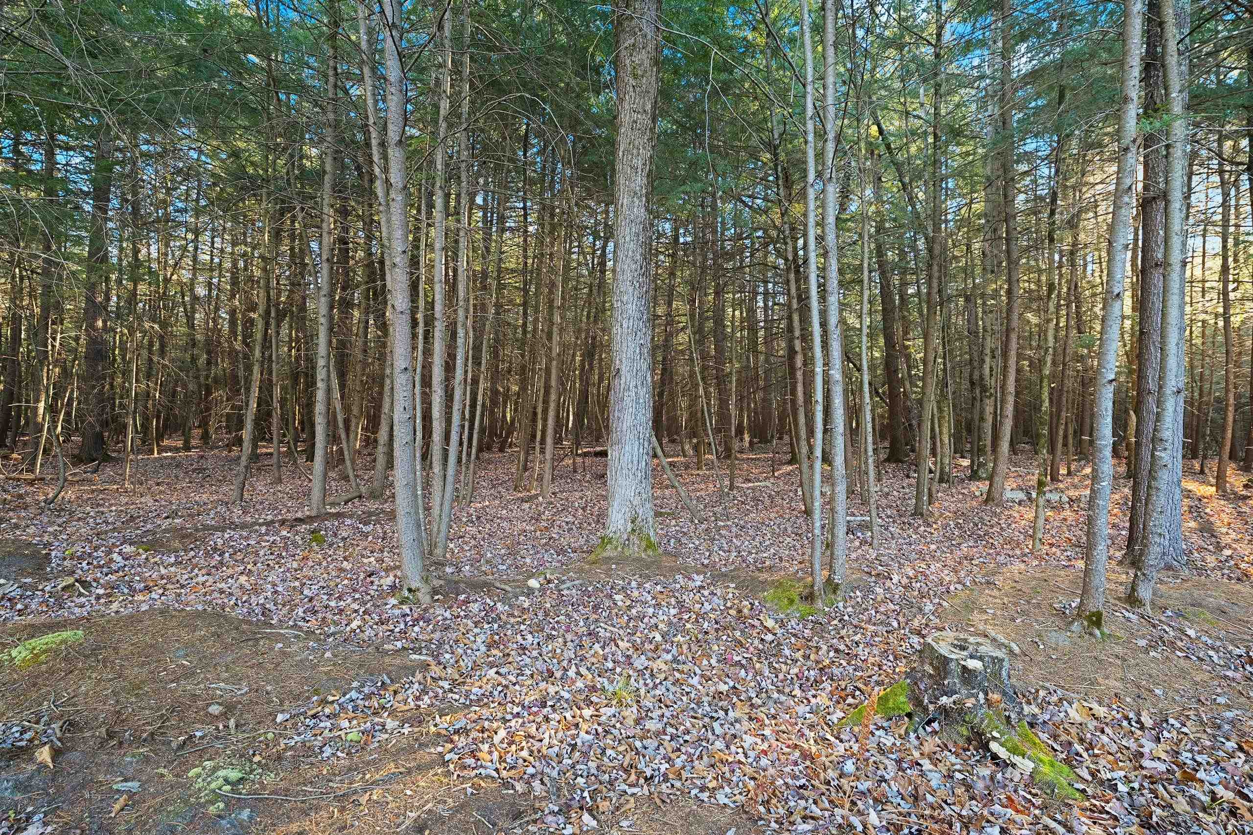 N8658 Maple Beach Road Wausaukee, WI 54177 - Photo 29 of 38