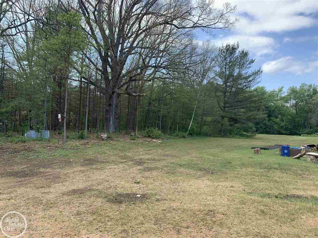 6468 Rynn Road North Street, MI 48049 - Photo 9 of 59