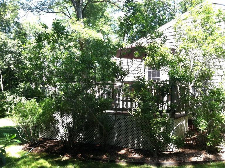 197 Great Neck Road South Mashpee, MA 02649 - Photo 17 of 20 Additional Photo