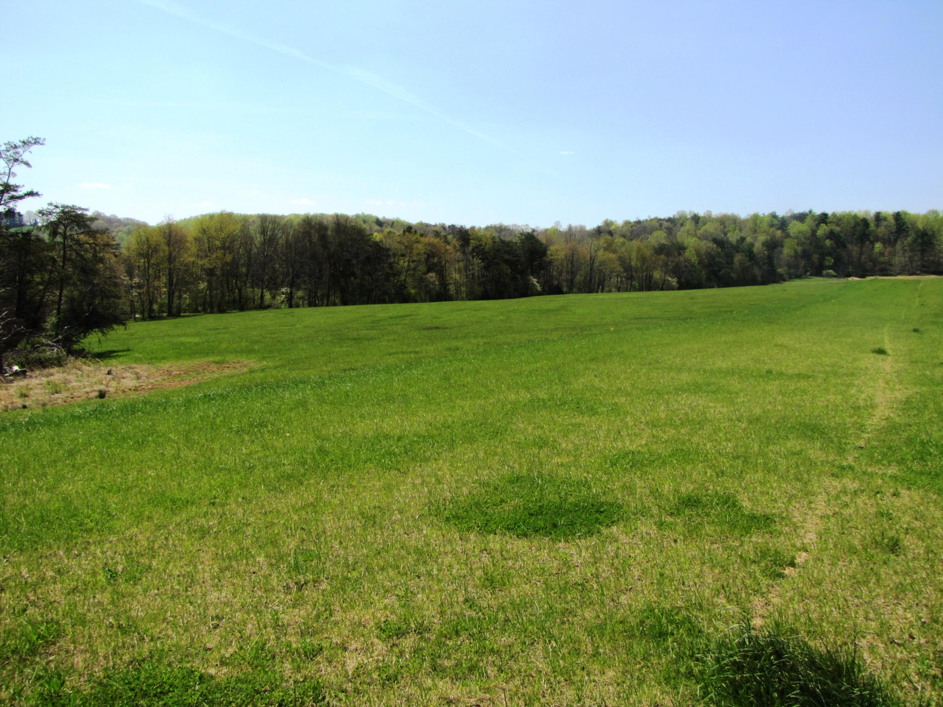 White Tree Hill Road Ballard, WV 24918 - Photo 35 of 36 Gallery Image 35