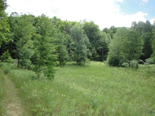 1341 Plum Valley Road Northeast Alden, MI 49612 - Photo 3 of 5 1788582-2.JPG