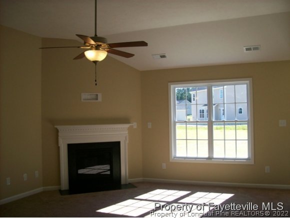 939 Raspberry Road, Unit 121 Stedman, NC 28391 - Photo 4 of 25 Gallery Image 4