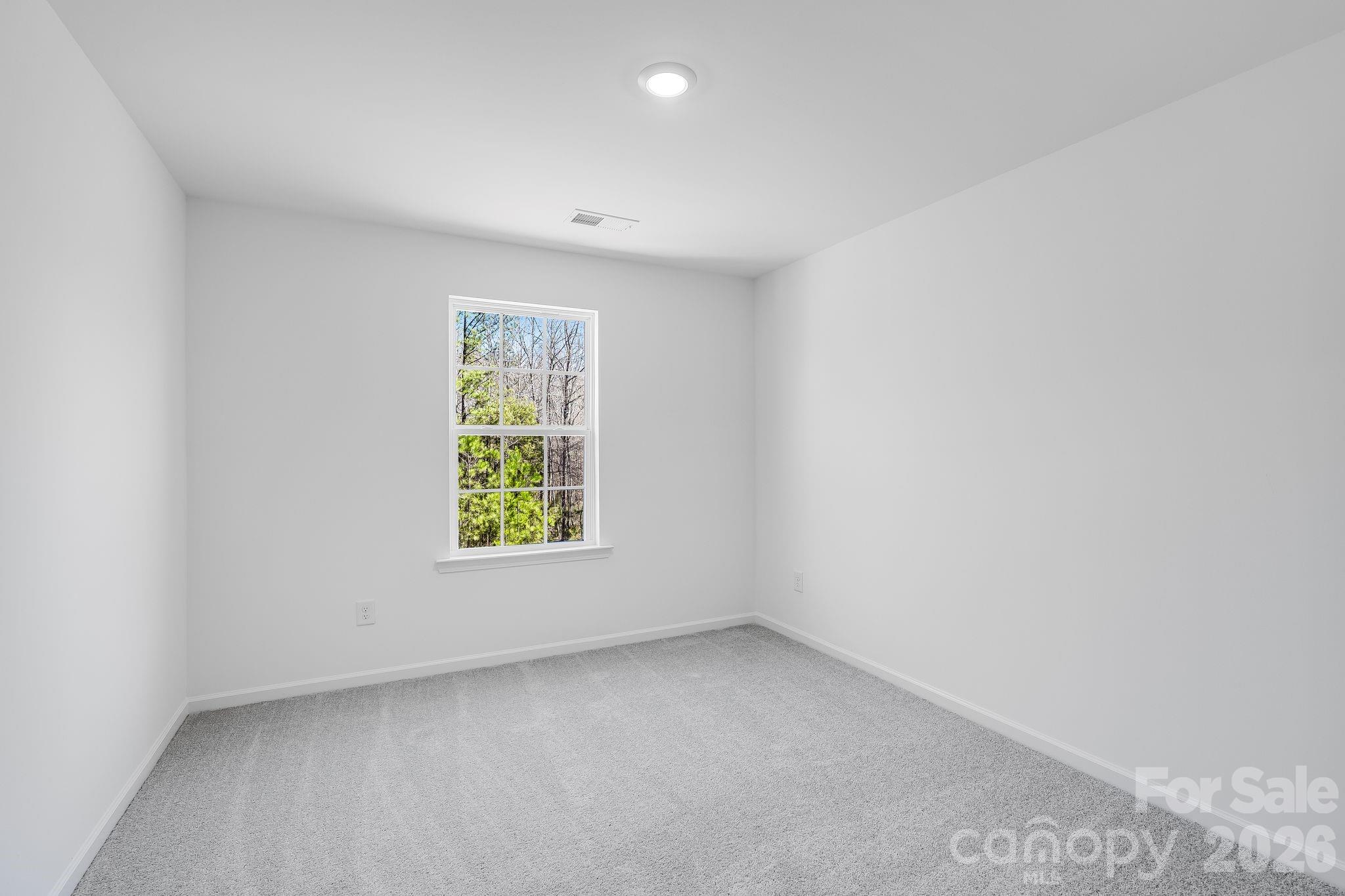 696 Sparano Loop York, SC 29745 - Photo 5 of 15