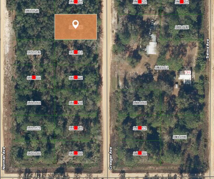 5 Creager Avenue Interlachen, FL 32148 - Photo 2 of 3 Aerial