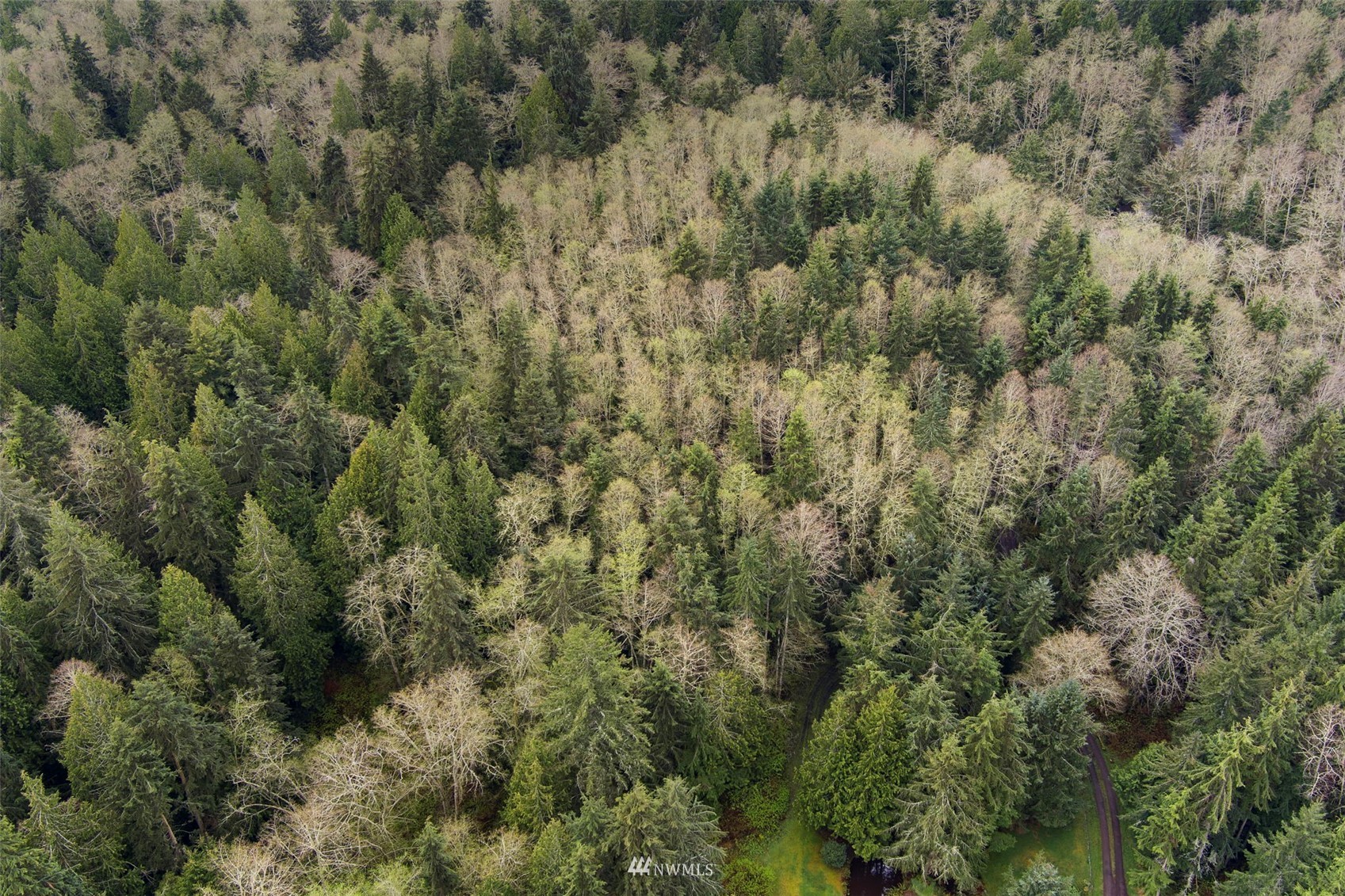 0 Paradise Bay Road Port Ludlow, WA 98365 - Photo 12 of 21 Gallery Image 12