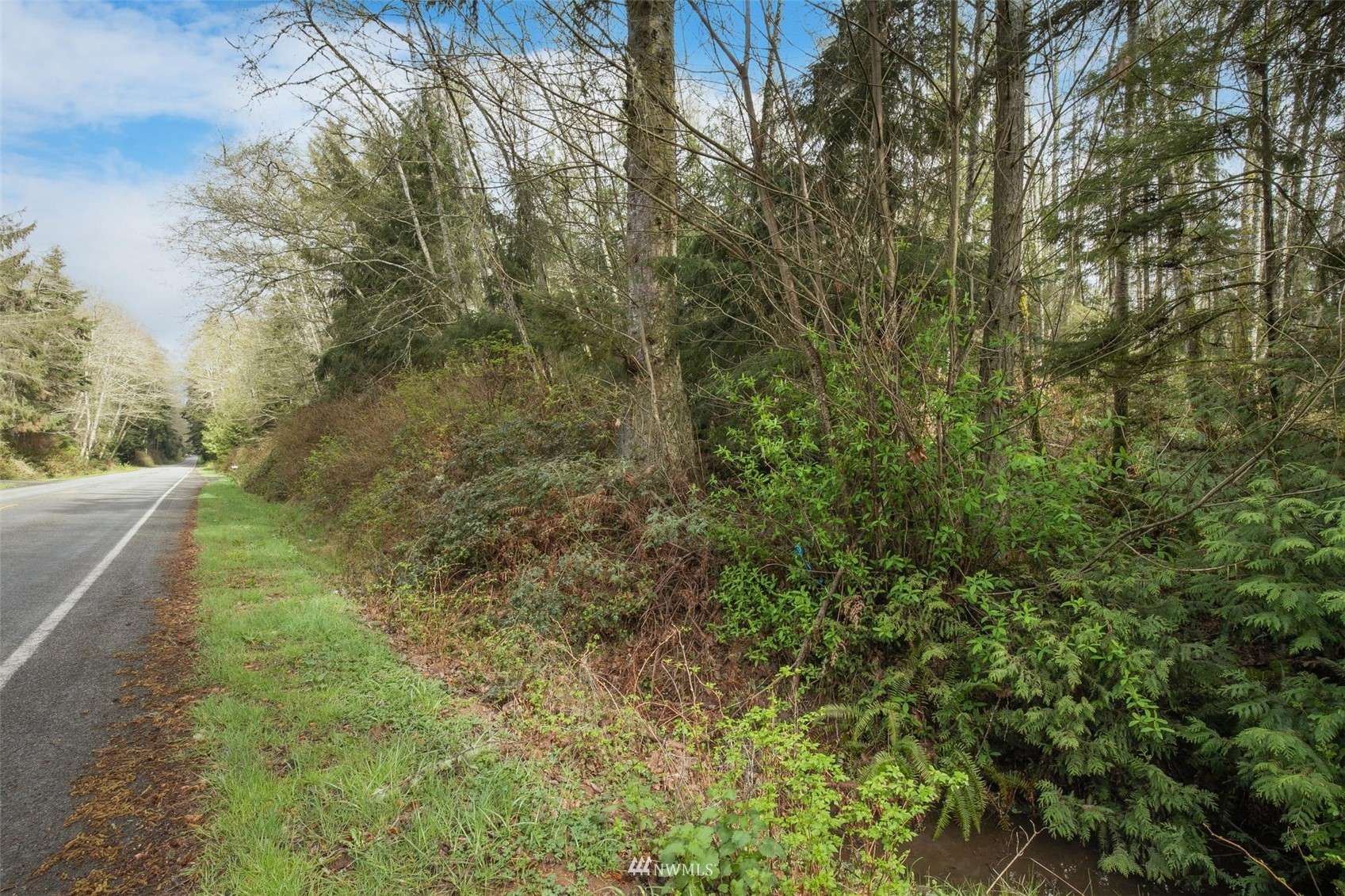 0 Paradise Bay Road Port Ludlow, WA 98365 - Photo 15 of 21 Gallery Image 15