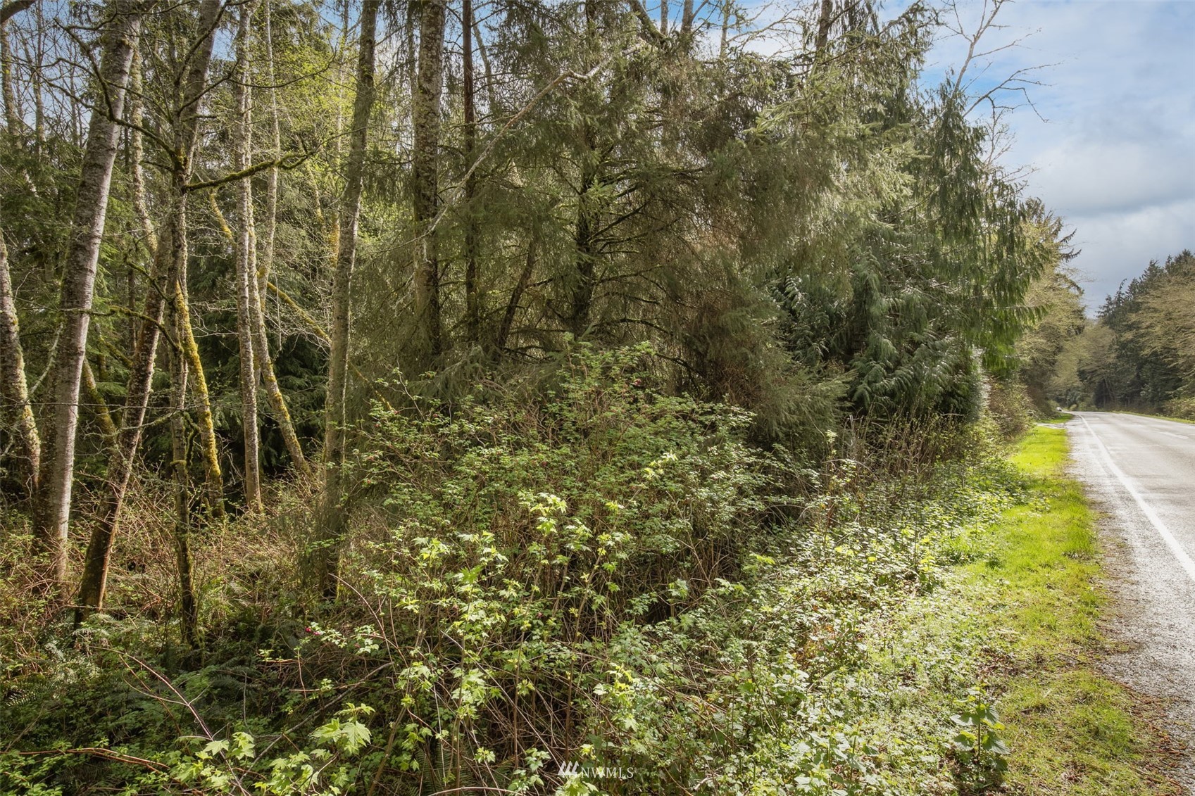 0 Paradise Bay Road Port Ludlow, WA 98365 - Photo 16 of 21 Gallery Image 16
