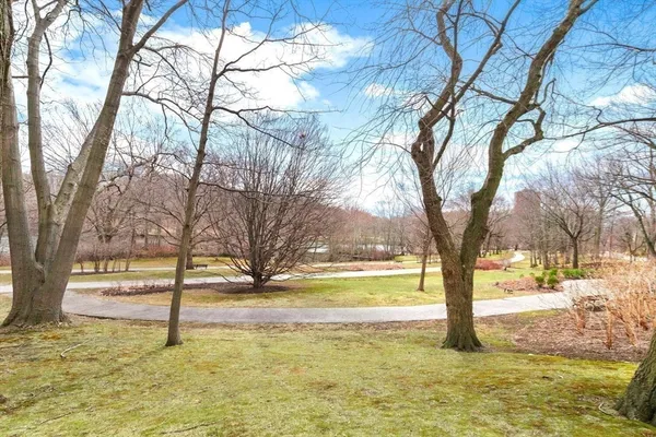 a view of a yard with trees