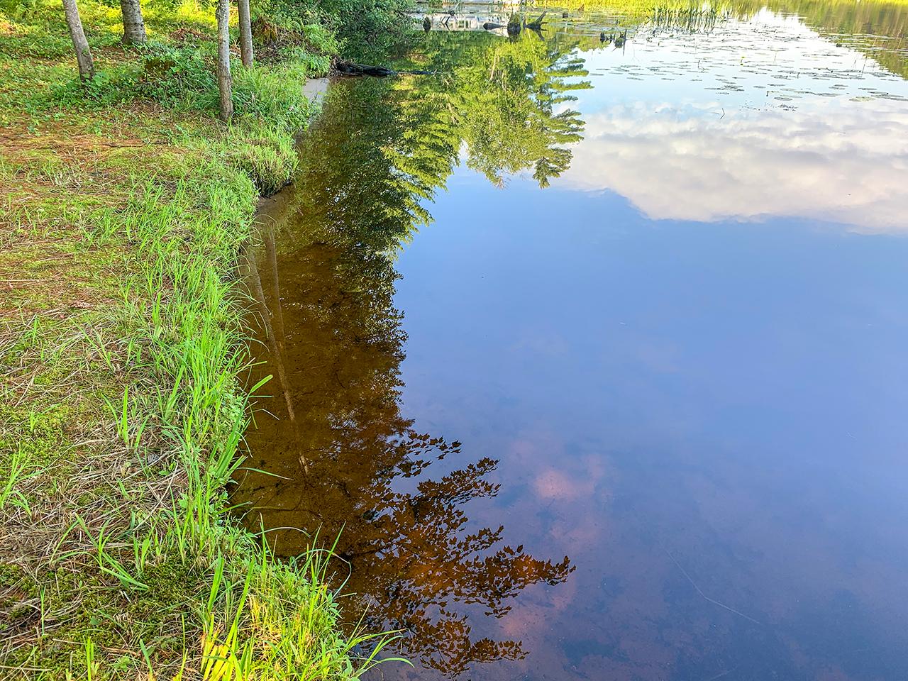 W7282 Loop Road Tomahawk, WI 54487 - Photo 12 of 36 Gallery Image 12