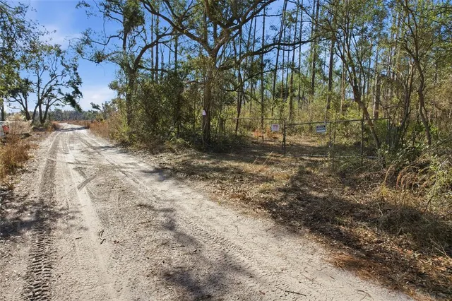 a view of a yard with plants and trees