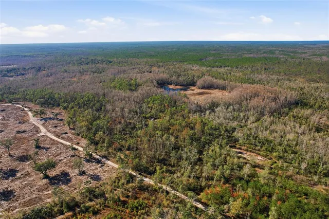 a view of a field with an ocean