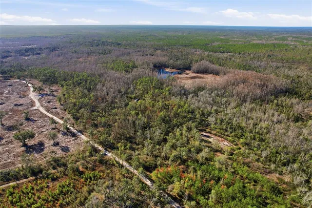 a view of a field with an ocean and trees in background