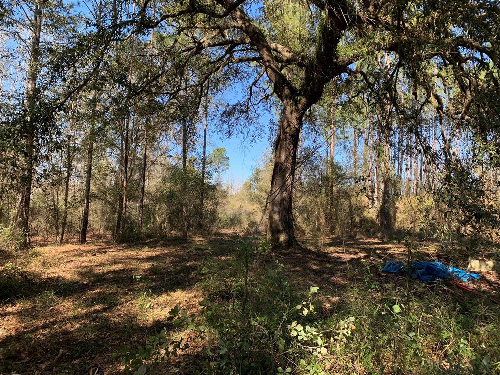 Southwest Tower Road Madison, FL 32340 - Photo 2 of 12