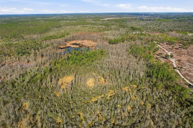a view of beach and ocean