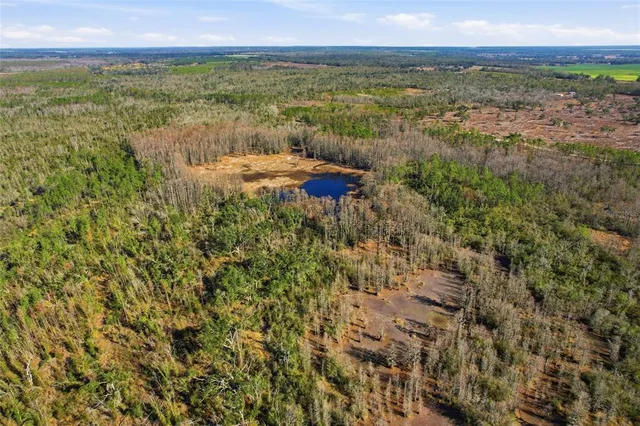 a view of a lake with a mountain