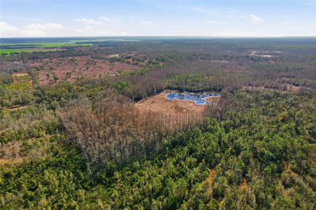 an aerial view of a residential houses with outdoor space and trees