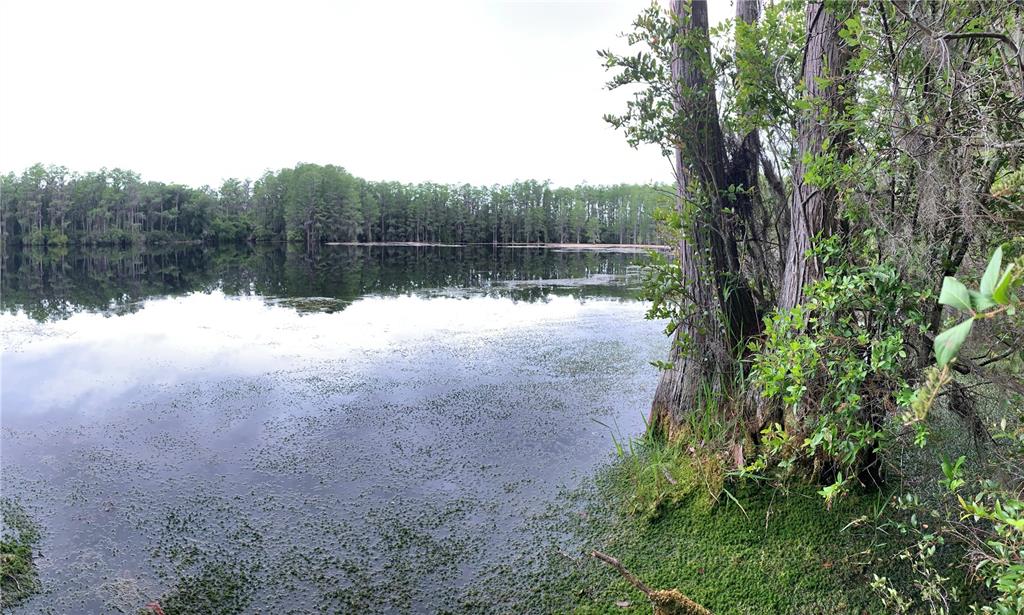 Southwest Tower Road Madison, FL 32340 - Photo 3 of 12