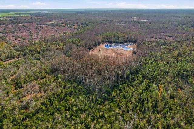 a view of a dry yard with green space