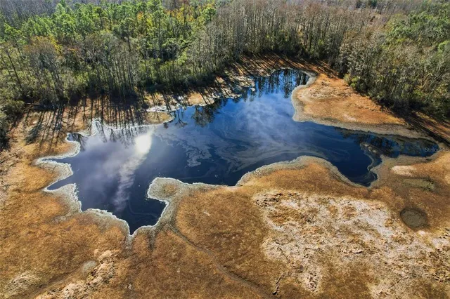 a wooden bench sitting in the middle of a yard