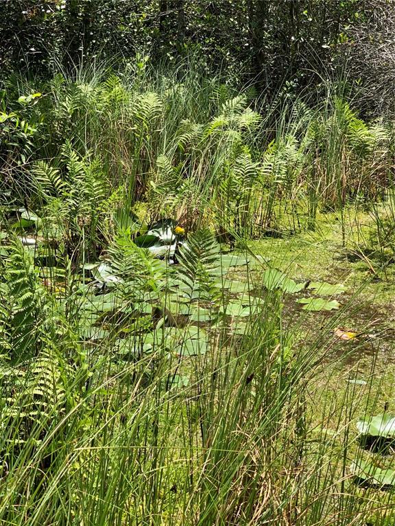 Southwest Tower Road Madison, FL 32340 - Photo 4 of 12