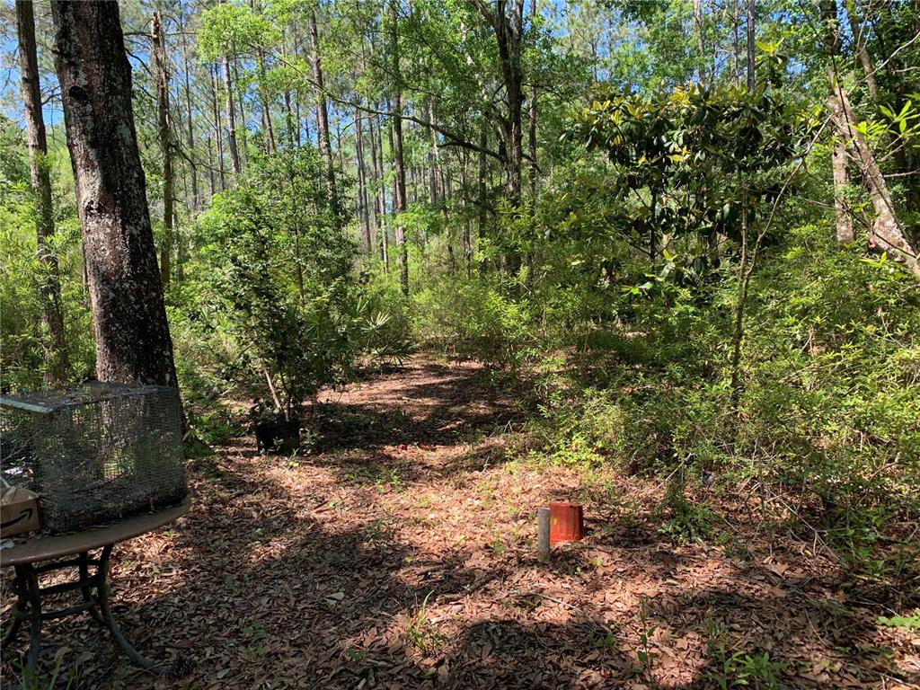 Southwest Tower Road Madison, FL 32340 - Photo 5 of 12