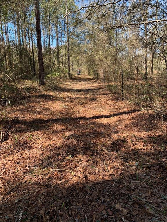 Southwest Tower Road Madison, FL 32340 - Photo 6 of 12