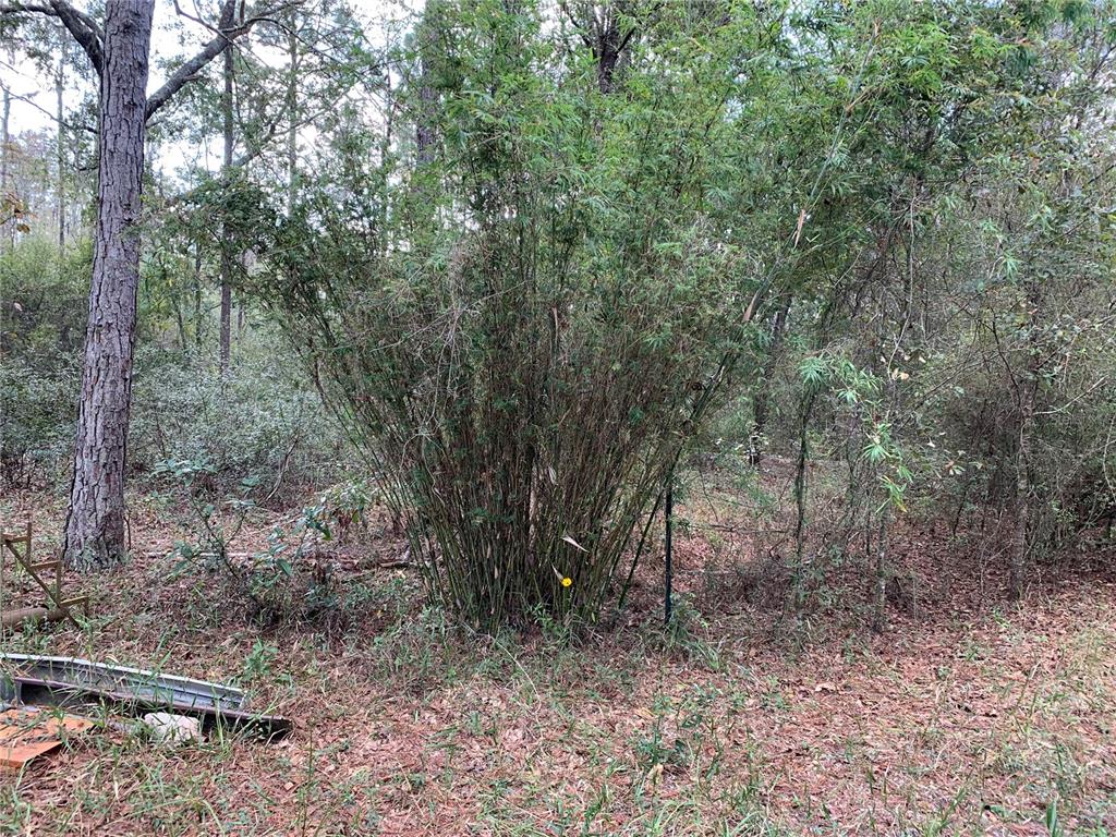 Southwest Tower Road Madison, FL 32340 - Photo 7 of 12