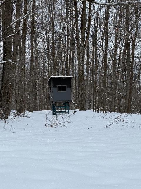 8453-8455 White Road Indian River, MI 49749 - Photo 55 of 56 IMG_2504