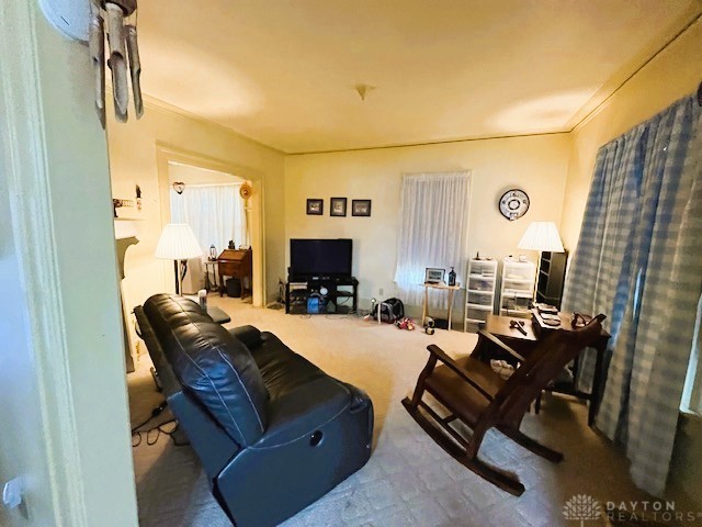 Gallery Image 7