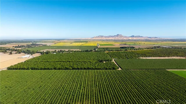 $4,200,000 | 1604 Highway 45, Knights Landing, CA 95645