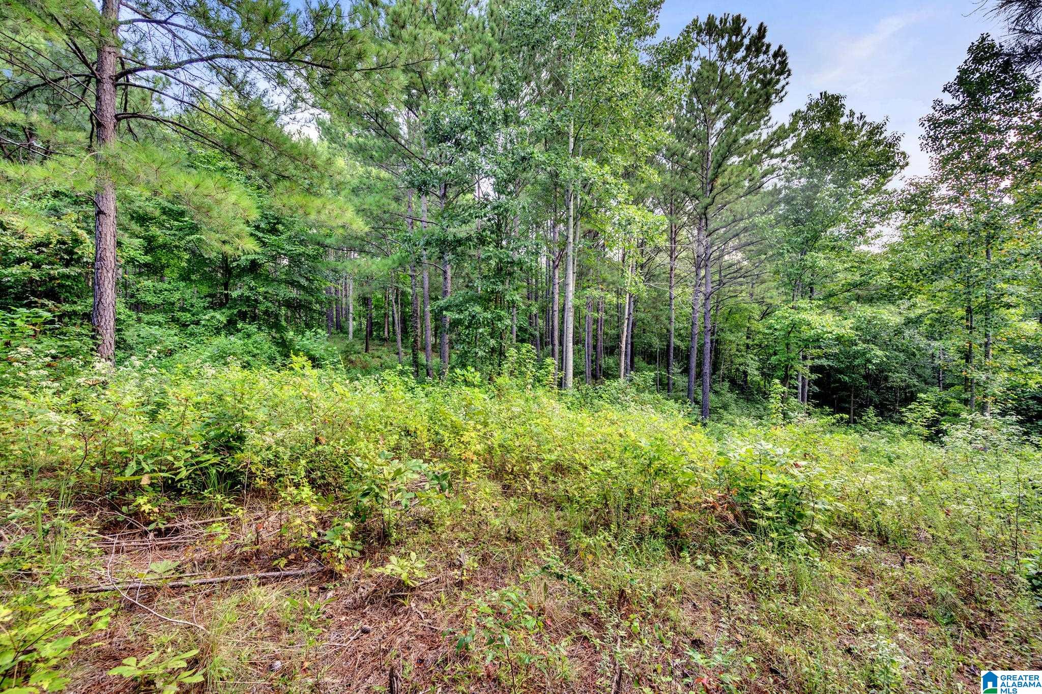 6971 Chambers Lane, Unit 1 Dora, AL 35062 - Photo 9 of 21