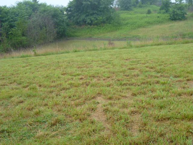 216 Old Sweet Owen Road Owenton, KY 40359 - Photo 14 of 16 Gallery Image 14